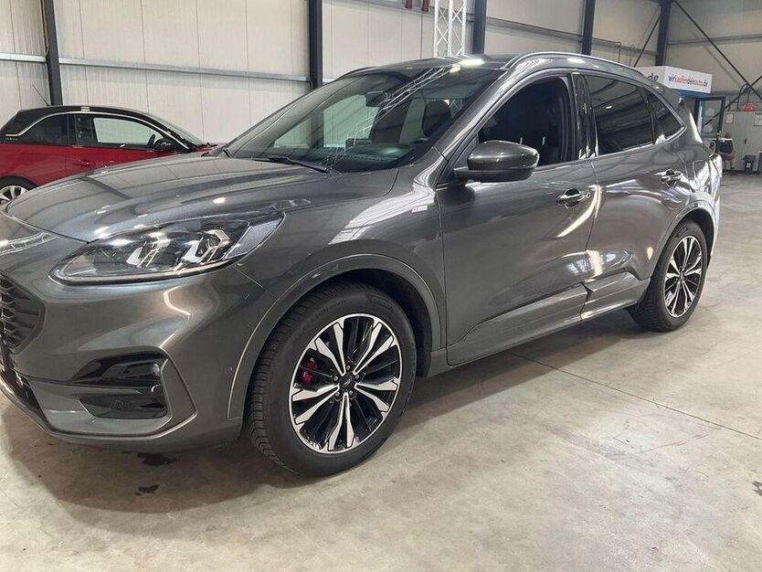 Kuga
