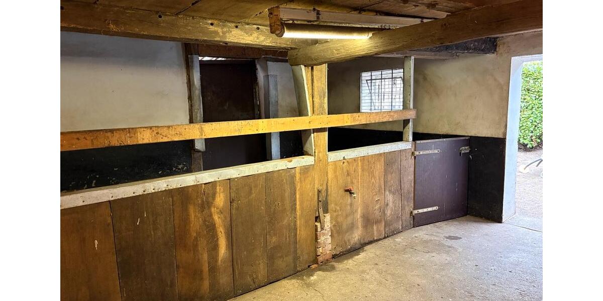 Einfamilienhaus Fürstenau - 6 Zimmer, 200 m&sup2;, 1.350&euro; | Angebot:25892935