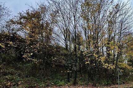 Grundstück Bullay - 49.500&euro; | Angebot:25549643