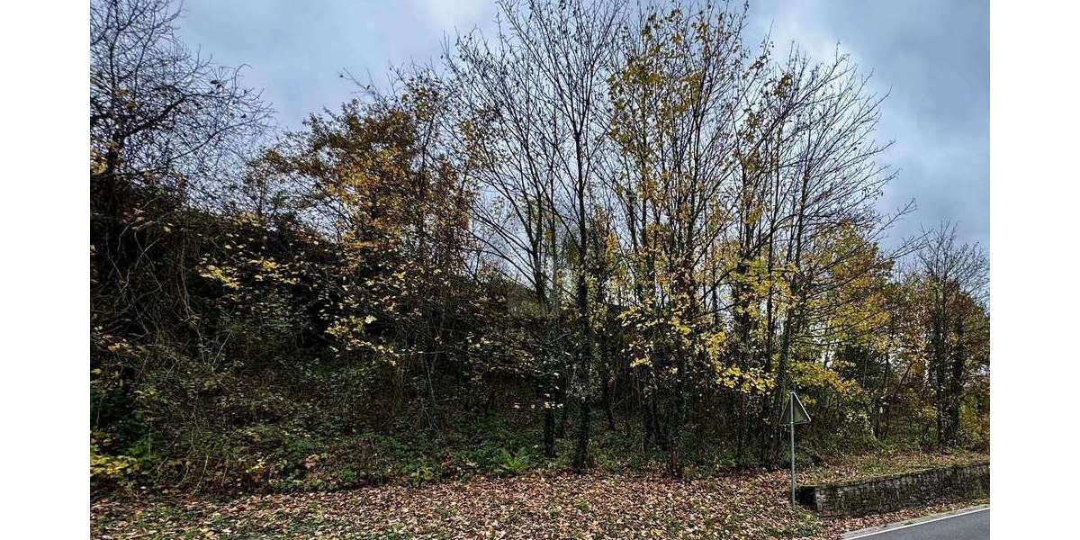 Grundstück Bullay - 49.500&euro; | Angebot:25549643