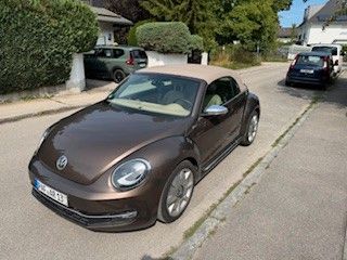 Beetle