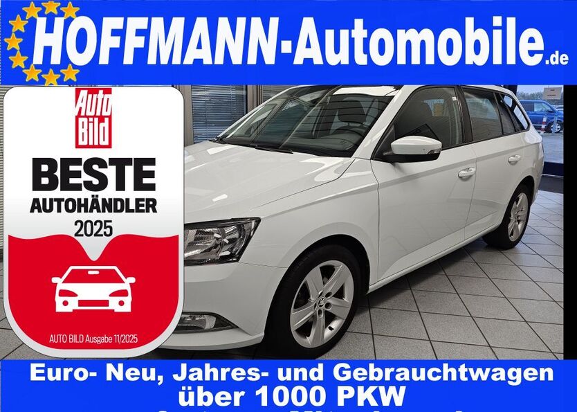 Skoda Fabia 115.888 km 8.350 € Wolfsburg-Heiligendorf 38444