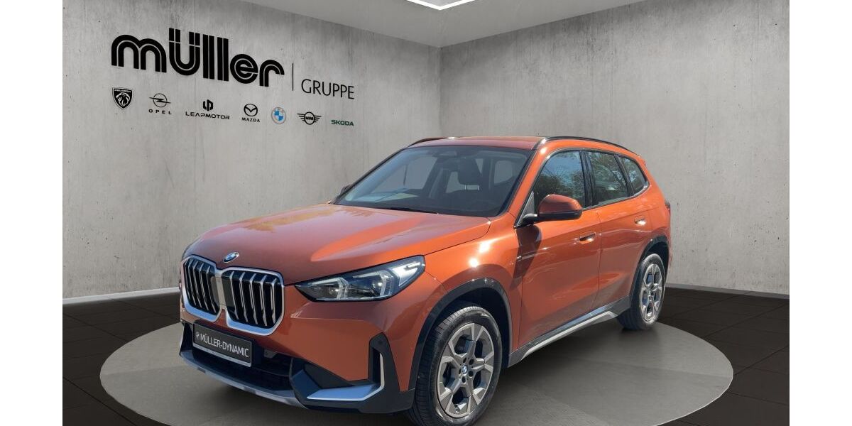 BMW X1 19.713 km 37.860 &euro; Trier 54292