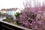 Mehrfamilienhaus, Wohnhaus Bamberg Gereuth - 5 Zimmer, 111 m&sup2;, 360.000&euro; | Angebot:26160282
