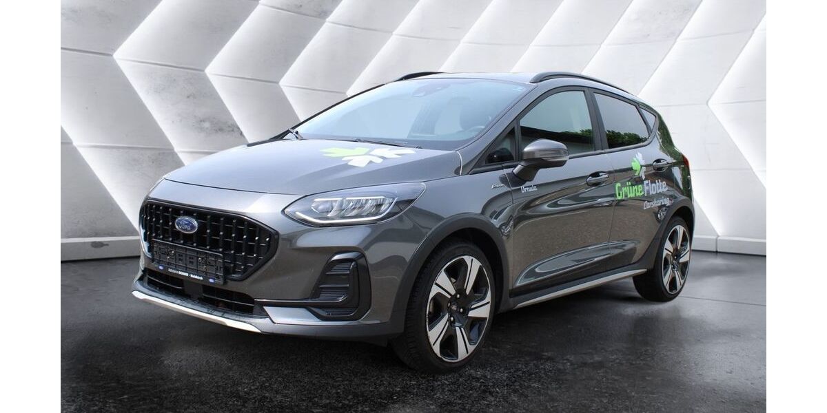 Ford Fiesta 82.900 km 12.490 &euro; Waldkirch 79183