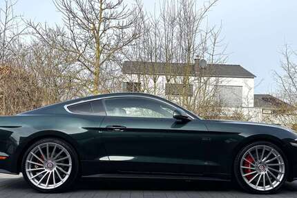 Ford Mustang 29.500 km 43.700 &euro; Celle, Stadt 29223