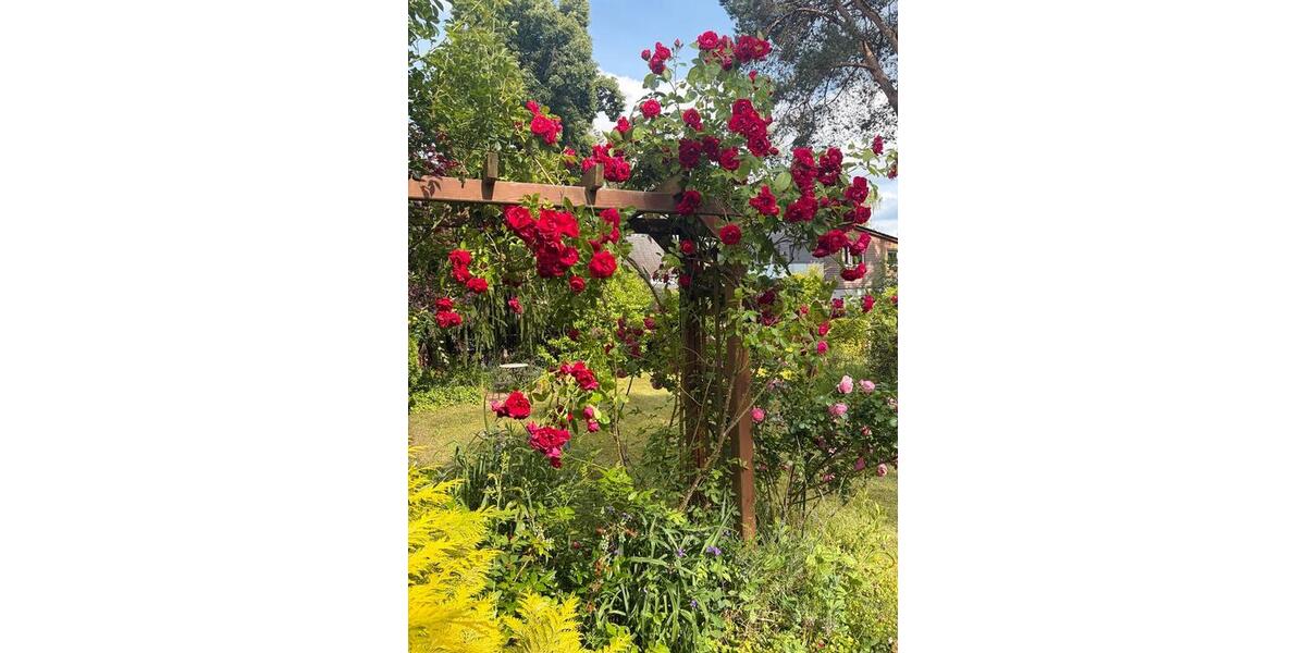 Bungalow Königs Wusterhausen Kablow - 3 Zimmer, 90 m&sup2;, 589.000&euro; | Angebot:26933009
