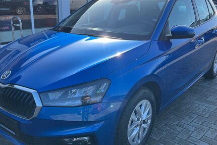 Skoda Fabia 15.432 km 15.990 &euro; Tessin 18195