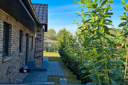 Haus Sagard - 4 Zimmer, 105 m&sup2;, 470.000&euro; | Angebot:24940819