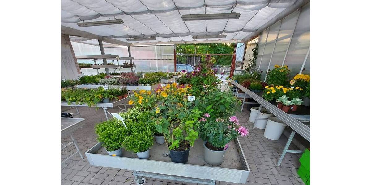 Grundstück Königsee-Rottenbach Königsee - 199.000&euro; | Angebot:25683148