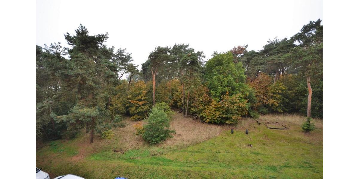 Etagenwohnung Möckern - 1 Zimmer, 31 m&sup2;, 225&euro; | Angebot:24711524