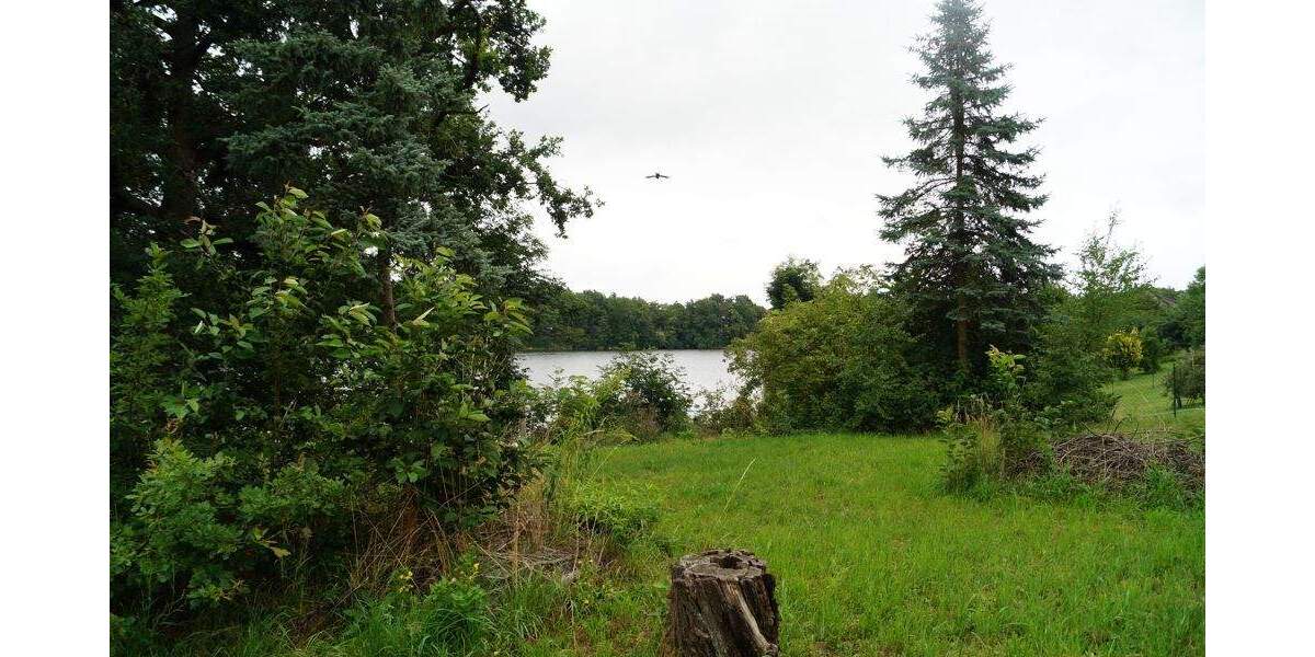 Grundstück Mittenwalde / OT Schenkendorf-Krummensee Krummensee - 799.000&euro; | Angebot:25663576