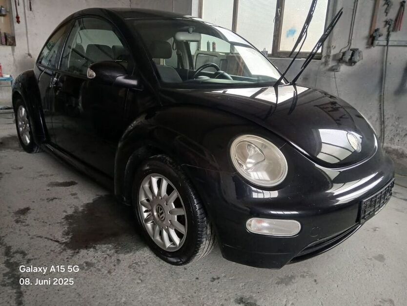 Beetle