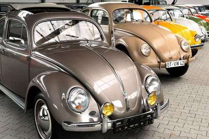 VW Käfer 32.000 km 57.900 € Gütersloh 33335