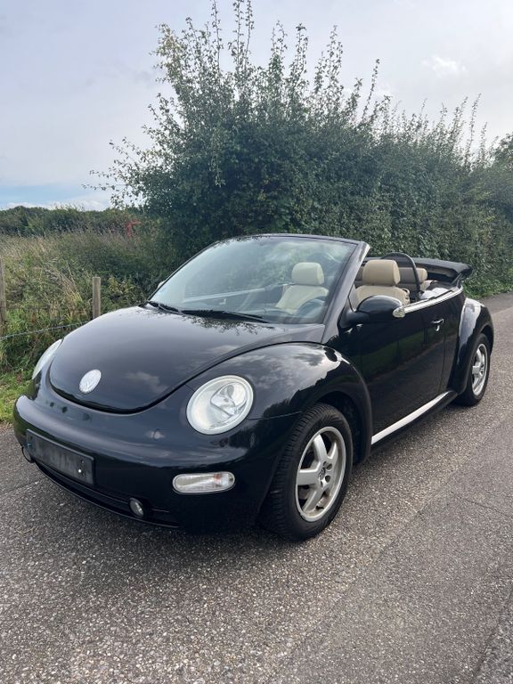 Beetle