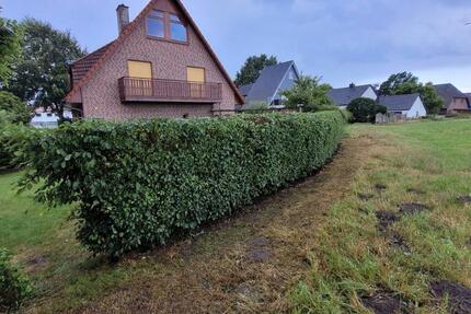 Wohnung Bönningstedt - 2 Zimmer, 90 m&sup2;, 1.100&euro; | Angebot:26415335