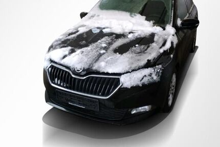 Skoda Fabia 54.579 km 15.240 &euro; Köthen 06366