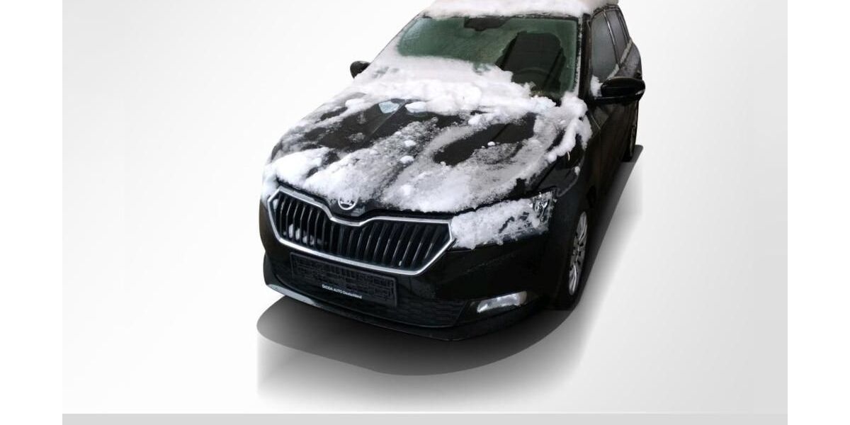 Skoda Fabia 54.579 km 15.240 &euro; Köthen 06366