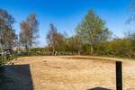 Einfamilienhaus Weeze - 8 Zimmer, 199 m&sup2;, 650.000&euro; | Angebot:26276184