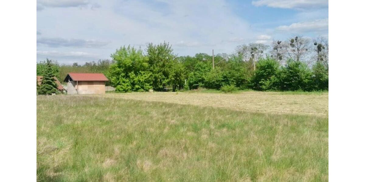 Gewerbeobjekt Biederitz - 300&euro; | Angebot:22916673