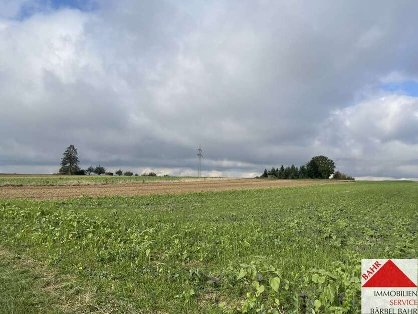 Grundstück zu verkaufen in Weil im Schönbuch 356.800 € 1784 m² zimmer