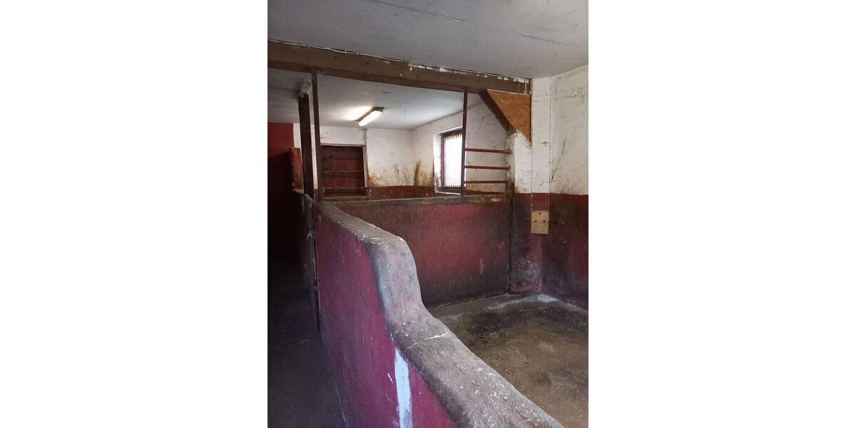 Einfamilienhaus Bretten Bauerbach - 6 Zimmer, 220 m&sup2;, 615.000&euro; | Angebot:26681055