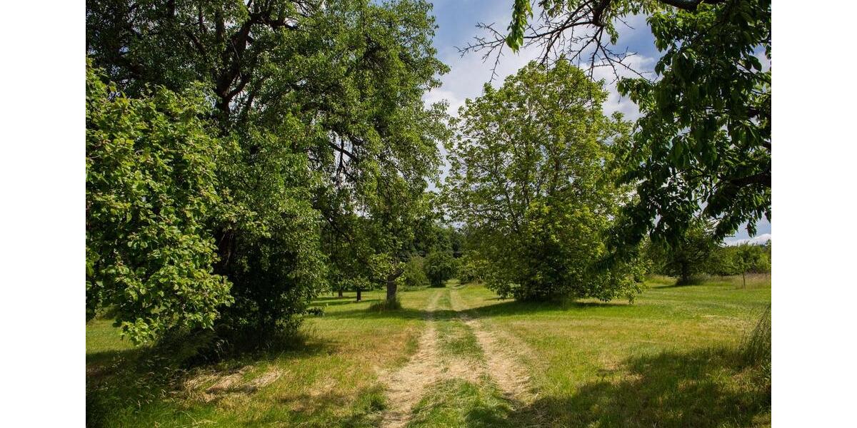 Loft - Studio - Atelier Neuenbürg - 1 Zimmer, 74 m&sup2;, 740&euro; | Angebot:25258787