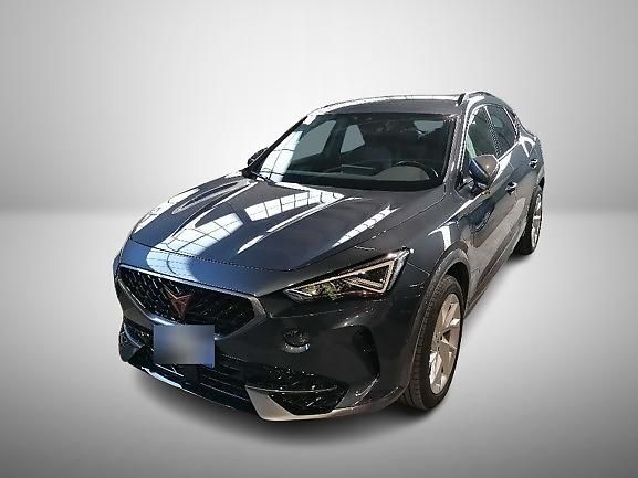 Cupra Formentor 71.300 km 21.499 € Ergolding 84030