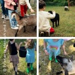 Kindertags-Special - Schafe, Ziegen & Natur