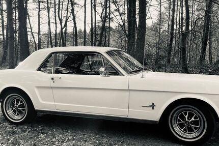 Ford Mustang 123.456 km 31.900 &euro; Sande 26452