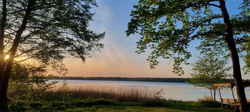 Einfamilienhaus Bestensee - 7 Zimmer, 184 m&sup2;, 725.000&euro; | Angebot:25483094