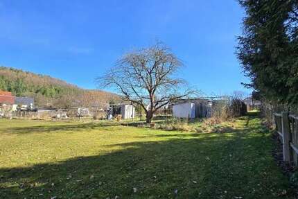 Grundstück Lichtenstein - 171.000&euro; | Angebot:25680230