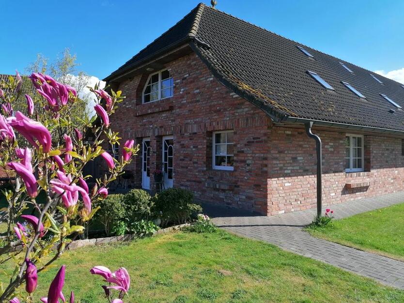 Rügen Ferienapartment bis zu 3 P 22.7.-28.7. frei (1Hund)