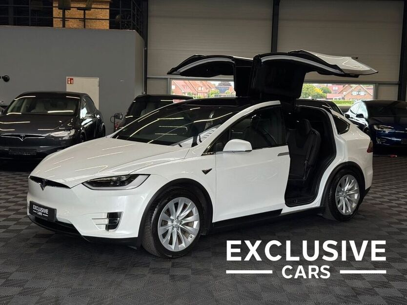 Model X