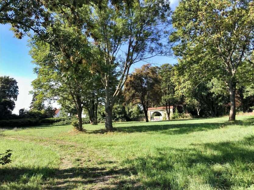Grundstück zu verkaufen in Elsteraue 117.000 € 780 m²