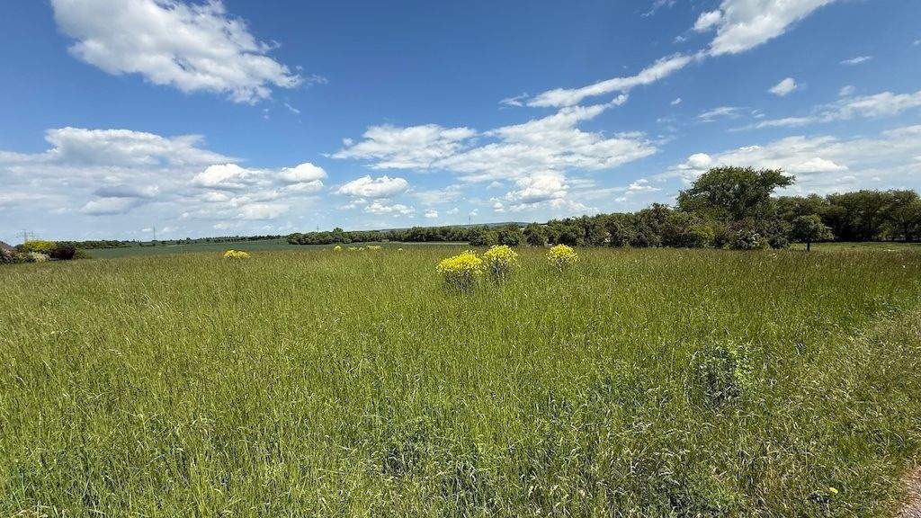 Grundstück Arnstadt Marlishausen - 143.680&euro; | Angebot:24027058