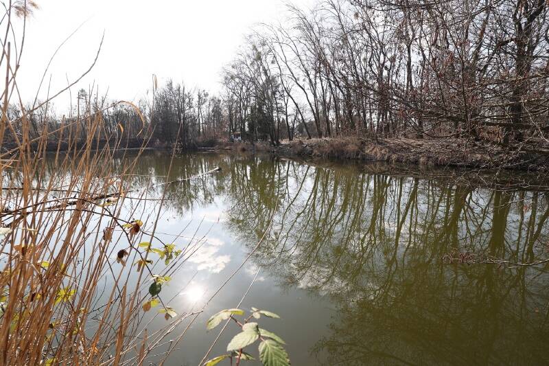 Bungalow Eberswalde Finow - 1 Zimmer, 32 m&sup2;, 98.000&euro; | Angebot:25970685