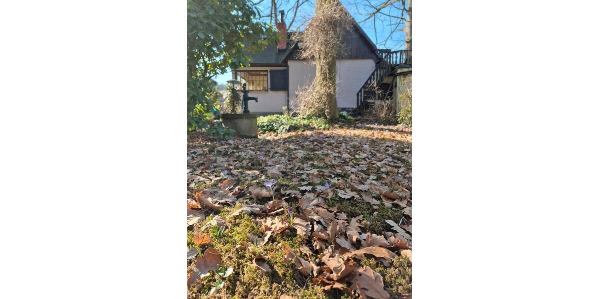 Grundstück Rochlitz - 35.000&euro; | Angebot:25291220