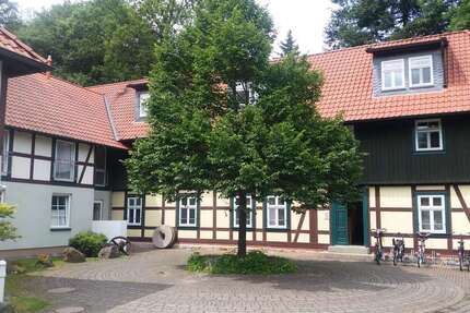 Wohnung zum Mieten in Wernigerode 300 € 34.4 m²