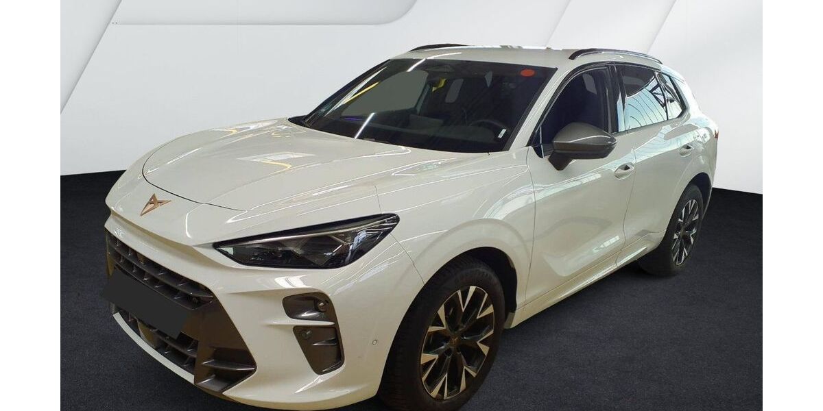 Cupra Terramar 23.833 km 31.730 &euro; Mosbach 74821