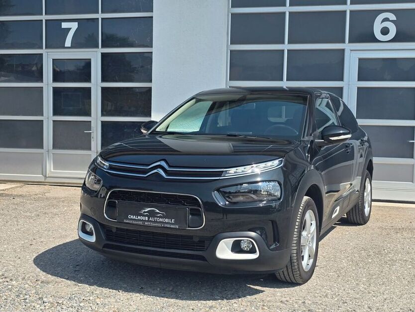 C4 Cactus