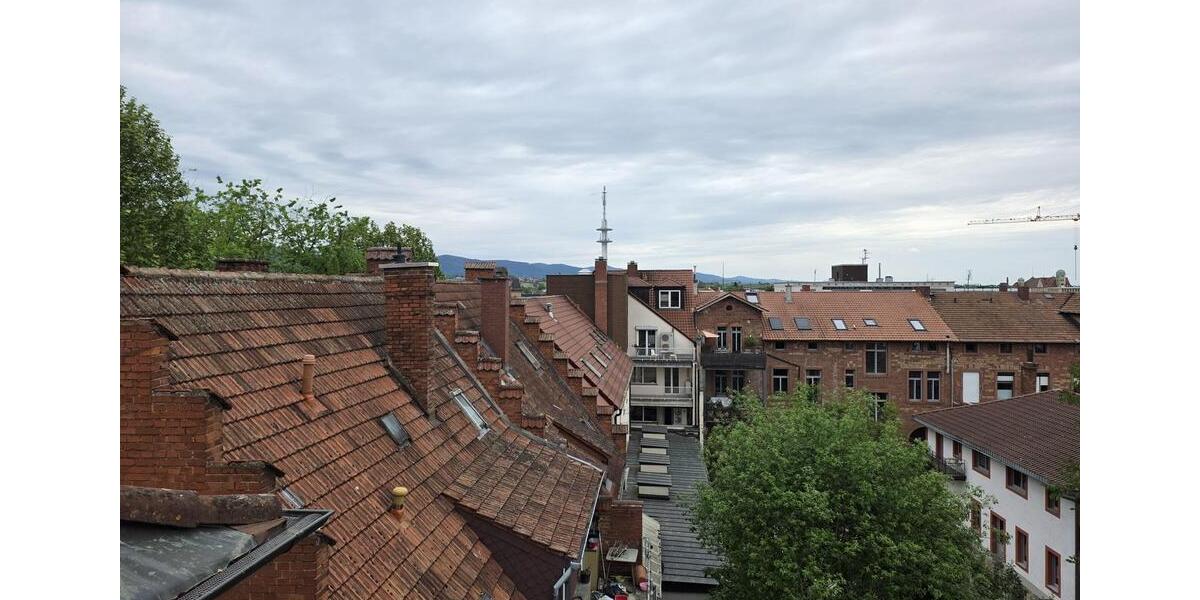 Dachgeschoßwohnung Landau in der Pfalz - 3 Zimmer, 65 m&sup2;, 630&euro; | Angebot:26448768