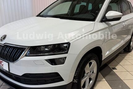Skoda Karoq 105.957 km 16.980 &euro; Pößneck 07381