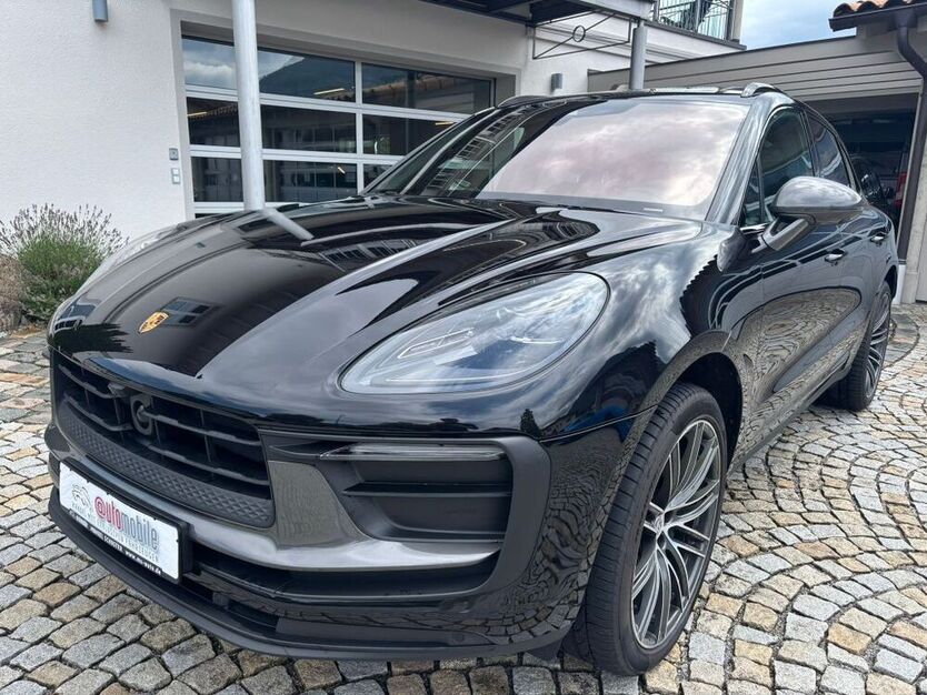 Macan