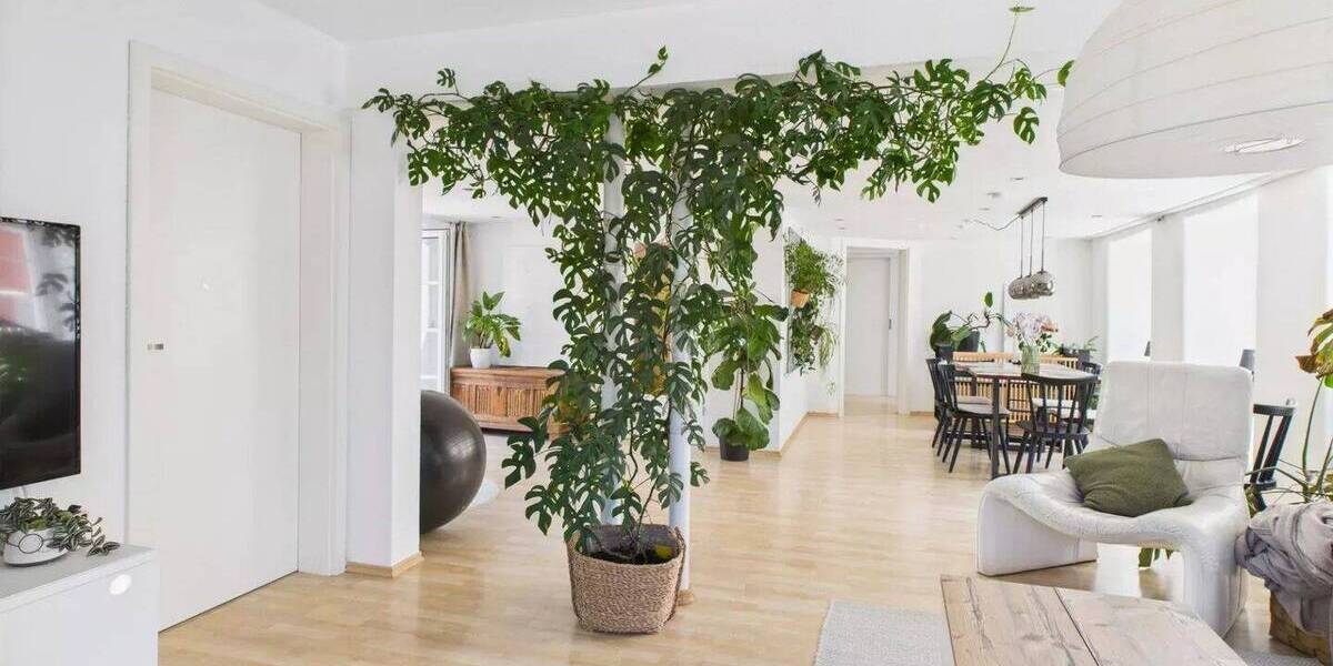 Einfamilienhaus Waxweiler - 560.000&euro; | Angebot:26203614