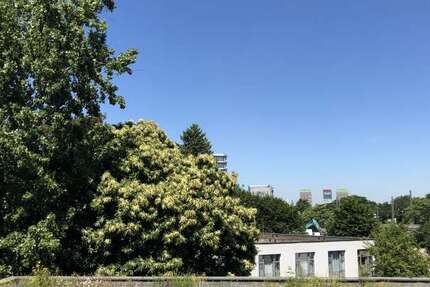 Wohnung zum Mieten in Düsseldorf 441 € 17.66 m² 1 zimmer