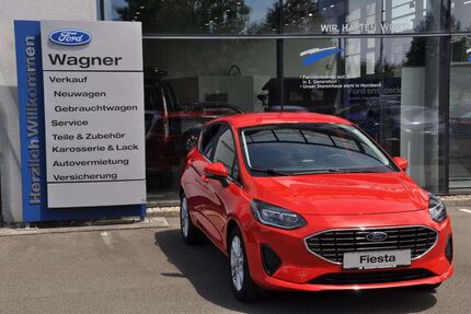 Ford Fiesta 15.000 km 20.590 € Pirmasens 66953