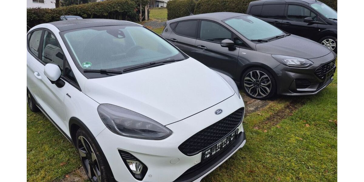 Ford Fiesta 12.950 km 17.700 &euro; Merenberg 35799