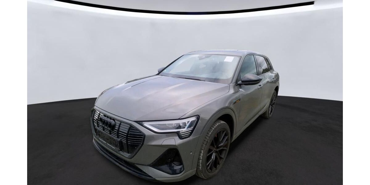 Audi e-tron 66.883 km 37.115 &euro; Hagen 58091