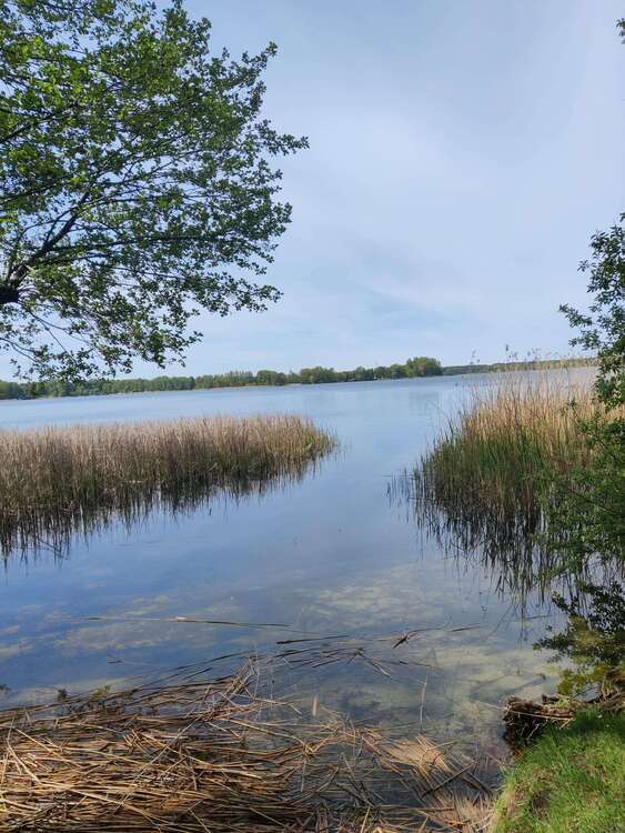 Grundstück zu verkaufen in Wandlitz 370.000 € 1400.08 m² zimmer